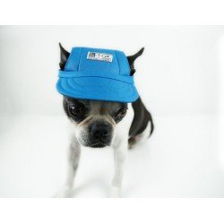 Pet Cap Pattern (Download) Pet Cap Pattern (Download)